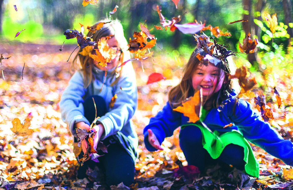 Scharrelkids bladeren.jpg