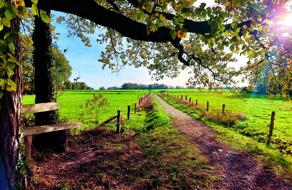Hakenberg herfst.jpg