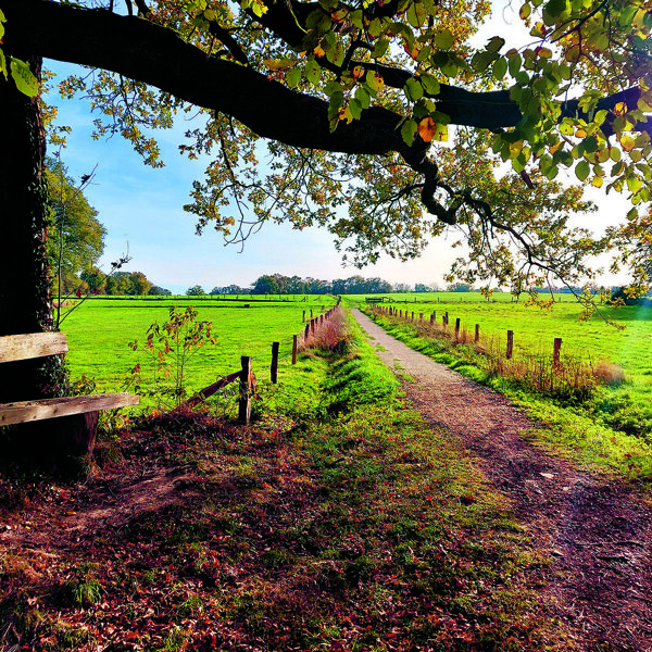 Hakenberg herfst.jpg