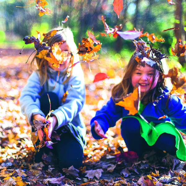 Scharrelkids bladeren.jpg