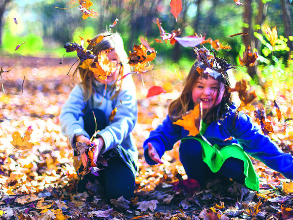 Scharrelkids bladeren.jpg