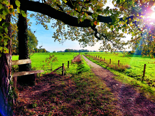 Hakenberg herfst.jpg