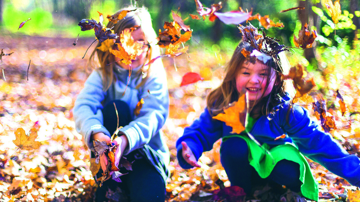 Scharrelkids bladeren.jpg