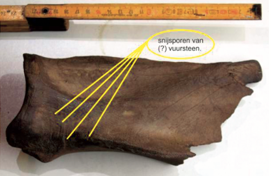 Schermafbeelding 2026-01-22 om 12.28.34.png