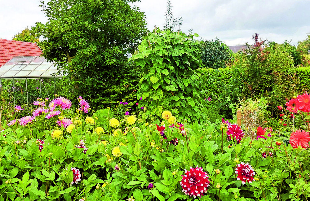 Johan en Joke Pasop 2 en 3 mei 2026.jpg