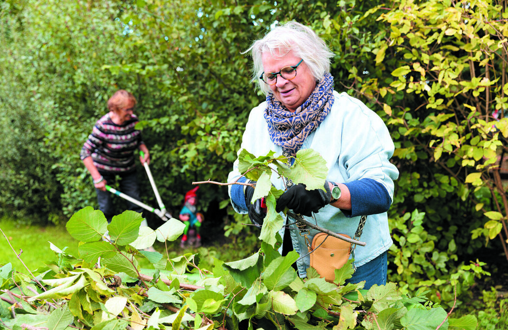 Cultuur Leefbaar Platteland-26689_jpg kleine(re) omvang