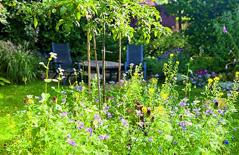 6954-Bloemenlint foto via J O.jpg